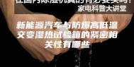 新能源汽车与防爆高低温交变湿热试验箱的紧密相关性有哪些