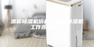 酒窖除湿机价格—酒窖除湿机工作原理介绍