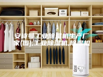 企业新闻安诗曼工业除湿机生产厂家(图),工业除湿机,除湿机