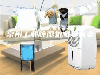 行业新闻泉州工业除湿机哪里有卖？
