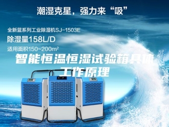 常见问题智能恒温恒湿试验箱具体工作原理