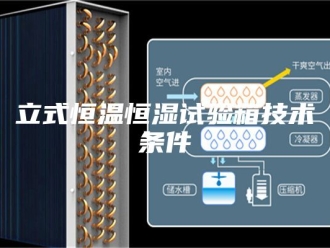 常见问题立式恒温恒湿试验箱技术条件