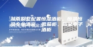湖南别墅配置恒湿酒柜、恒温恒湿专业酒窖、雪茄柜、板金电子酒柜