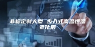 非标定制大型 步入式高温恒湿老化房