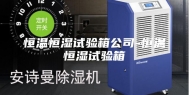 恒温恒湿试验箱公司-恒温恒湿试验箱