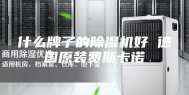 什么牌子的除湿机好 德国原装费斯卡诺