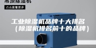 工业除湿机品牌十大排名（除湿机排名前十的品牌）