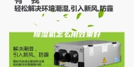 除湿机怎么用效果好