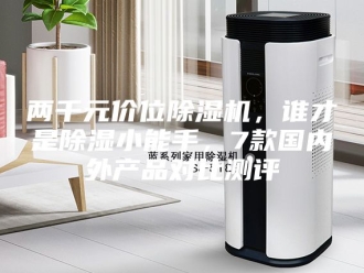 常见问题两千元价位除湿机，谁才是除湿小能手，7款国内外产品对比测评