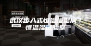 武汉步入式恒温恒湿房／恒温湿试验室