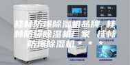 桂林防爆除湿机品牌 桂林防爆除湿机厂家 桂林防爆除湿机＊＊＊