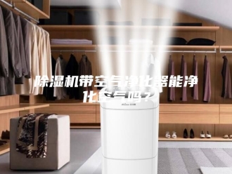 企业新闻除湿机带空气净化器能净化空气吗？