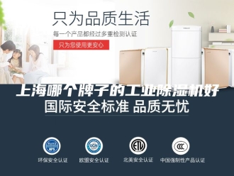 常见问题上海哪个牌子的工业除湿机好