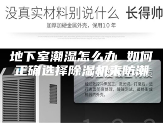 行业新闻地下室潮湿怎么办 如何正确选择除湿机来防潮