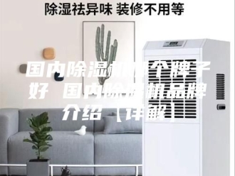 行业新闻国内除湿机哪个牌子好 国内除湿机品牌介绍【详解】