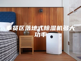 行业新闻奉贤区落地式除湿机多大功率