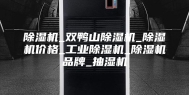 除湿机_双鸭山除湿机_除湿机价格_工业除湿机_除湿机品牌_抽湿机