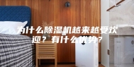 为什么除湿机越来越受欢迎？有什么优势？