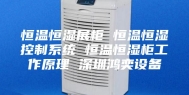 恒温恒湿展柜 恒温恒湿控制系统 恒温恒湿柜工作原理 深圳鸿奕设备