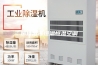 吊顶酒窖恒温恒湿空调