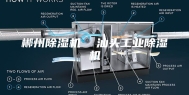 郴州除湿机  汕头工业除湿机