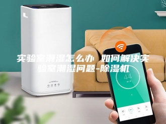 行业新闻实验室潮湿怎么办 如何解决实验室潮湿问题-除湿机