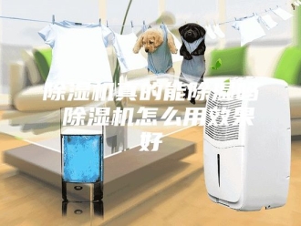 企业新闻除湿机真的能除湿吗 除湿机怎么用效果好