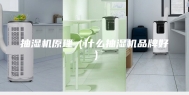 抽湿机原理（什么抽湿机品牌好）