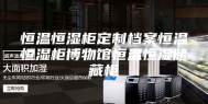 恒温恒湿柜定制档案恒温恒湿柜博物馆恒温恒湿储藏柜