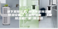 地下室除湿机 地下车库除湿机 除湿设备  工业除湿机  工业除湿机厂家 除湿器