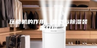 压缩机的作用、类型与除湿装置介绍