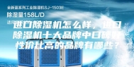 进口除湿机怎么样，进口除湿机十大品牌中口碑好性价比高的品牌有哪些？