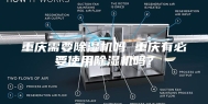 重庆需要除湿机吗 重庆有必要使用除湿机吗？