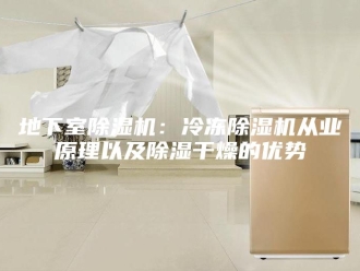 行业新闻地下室除湿机：冷冻除湿机从业原理以及除湿干燥的优势