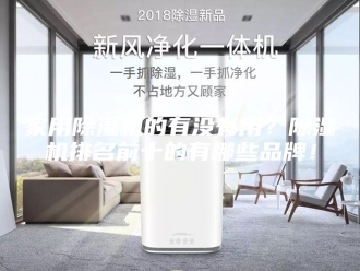 行业新闻家用除湿机的有没有用？除湿机排名前十的有哪些品牌！