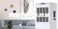 普洱茶用什么防潮