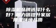 除湿机品牌选择什么好？朗力信提升家居除湿环境品质