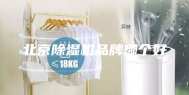 北京除湿机品牌哪个好