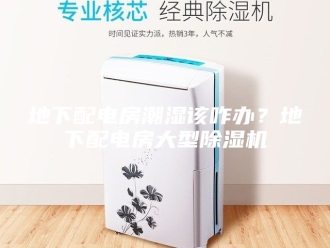 行业新闻地下配电房潮湿该咋办？地下配电房大型除湿机